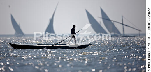 Sur le lac Burullus - Egypte - © Philip Plisson / Plisson La Trinité / AA39853 - Nos reportages photos - Géomorphie