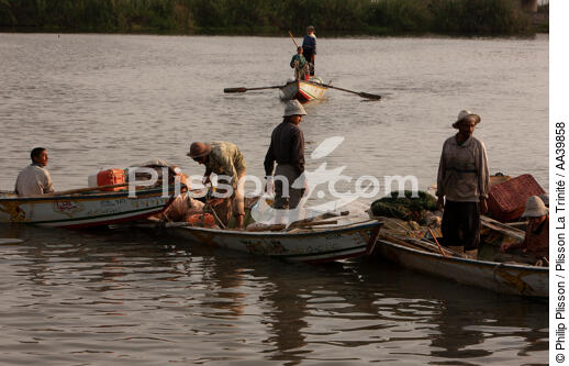 On the Manzala lake - Egypt - © Philip Plisson / Plisson La Trinité / AA39858 - Photo Galleries - Nile Delta