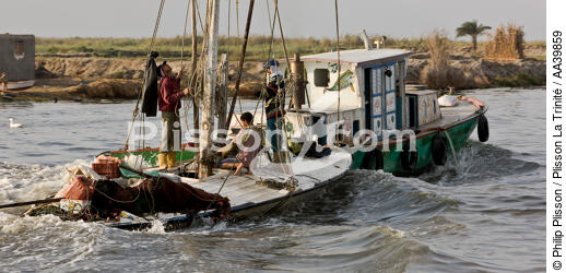 On the Manzala lake - Egypt - © Philip Plisson / Plisson La Trinité / AA39859 - Photo Galleries - Framing
