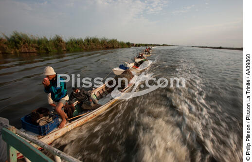 Sur le lac Manzala - Egypte - © Philip Plisson / Plisson La Trinité / AA39860 - Nos reportages photos - Géomorphie