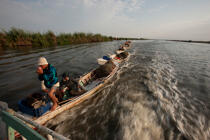Sur le lac Manzala - Egypte © Philip Plisson / Pêcheur d’Images / AA39860 - Nos reportages photos - Mots clés