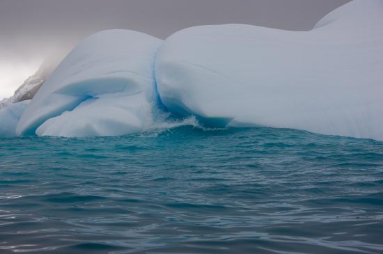 Reportage photo Pêcheur d'Images - Antarctique