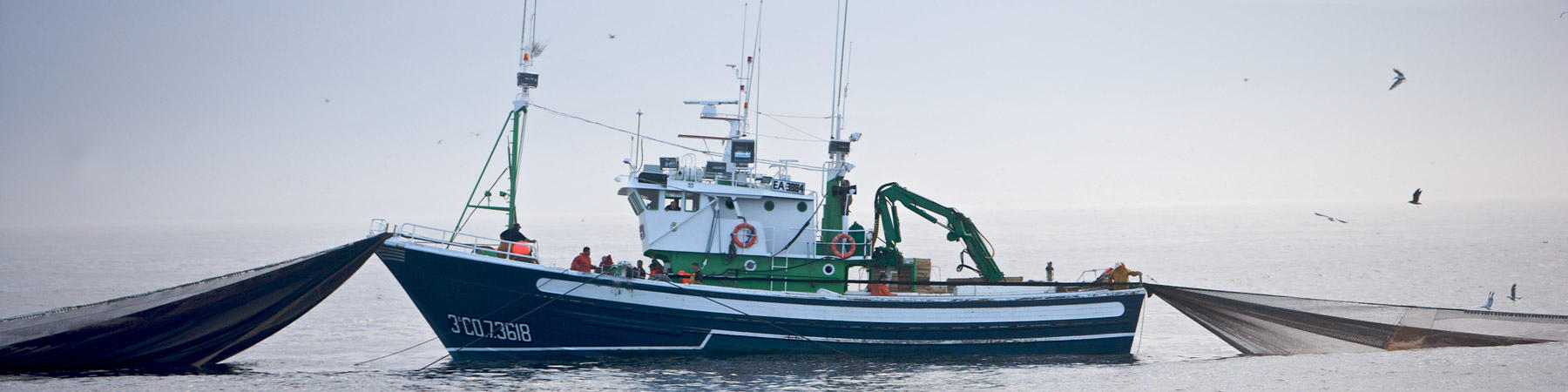 La pêche à la sardine - Photo Pêcheur d'Images
