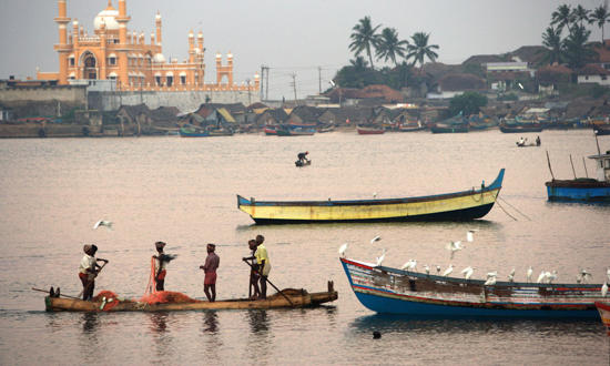 Reportage photo Pêcheur d'Images - La petite pêche au Kerala, Inde du sud